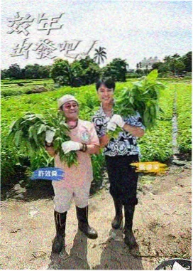 置换日记角色头像